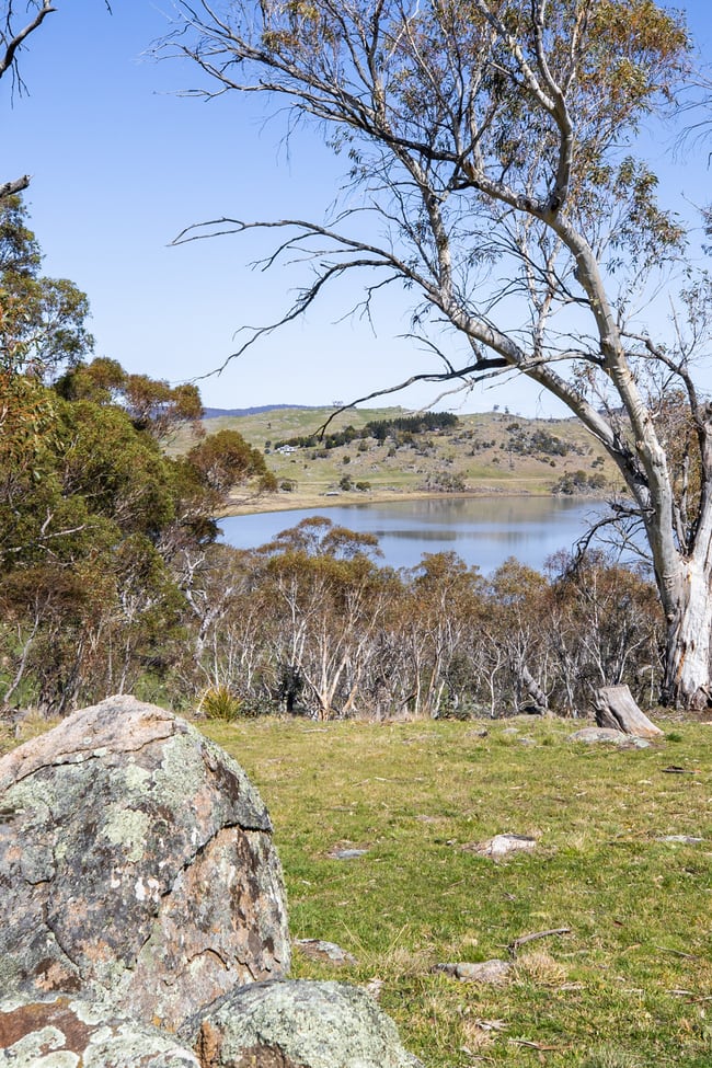 422 Gullies Road Moonbah NSW 2627