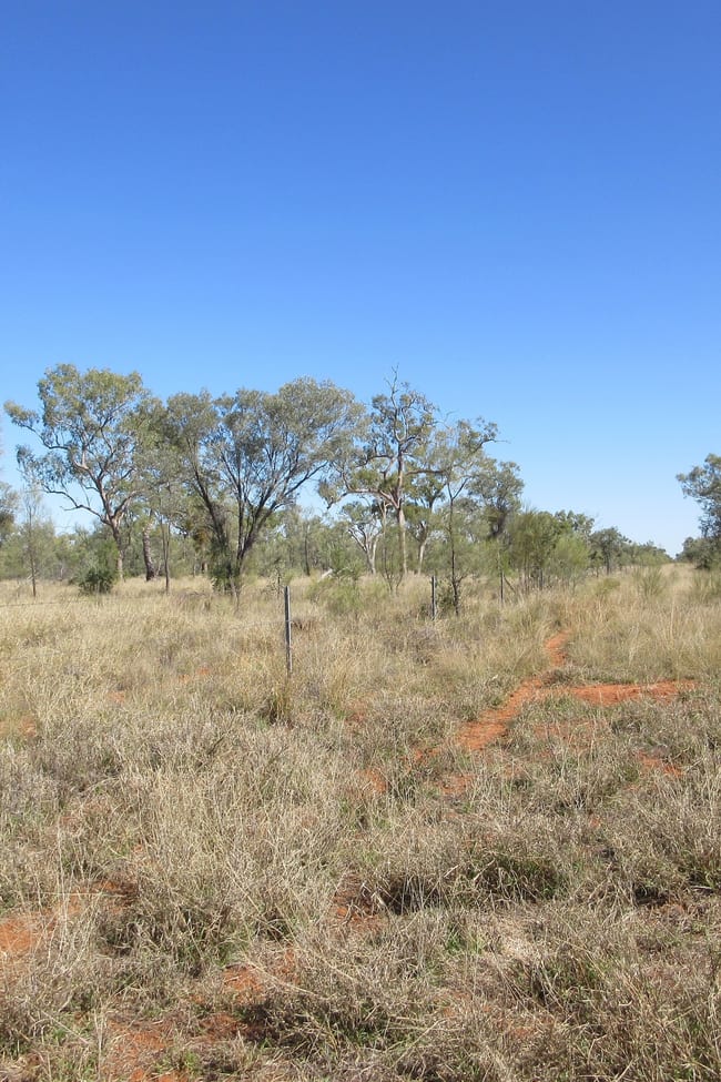 4092 Narbethong Road Barcaldine QLD 4725