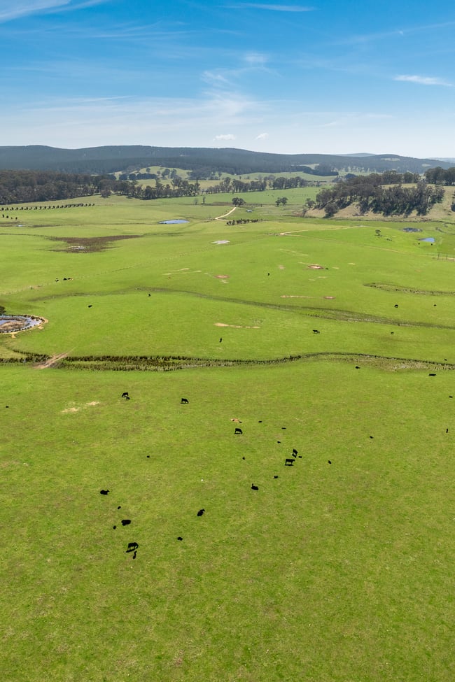 224 Cranfield Road Chatham Valley NSW 2787 224 Cranfield Road Chatham Valley NSW 2787