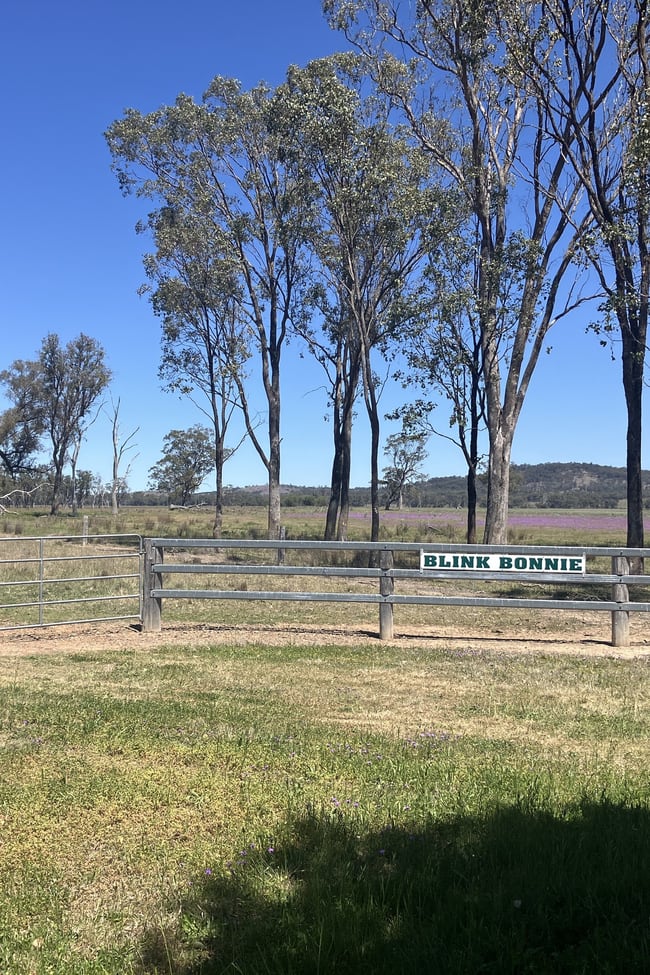 'Blink Bonnie' 1128 Leyburn-Cunningham Road Old Talgai QLD 4362