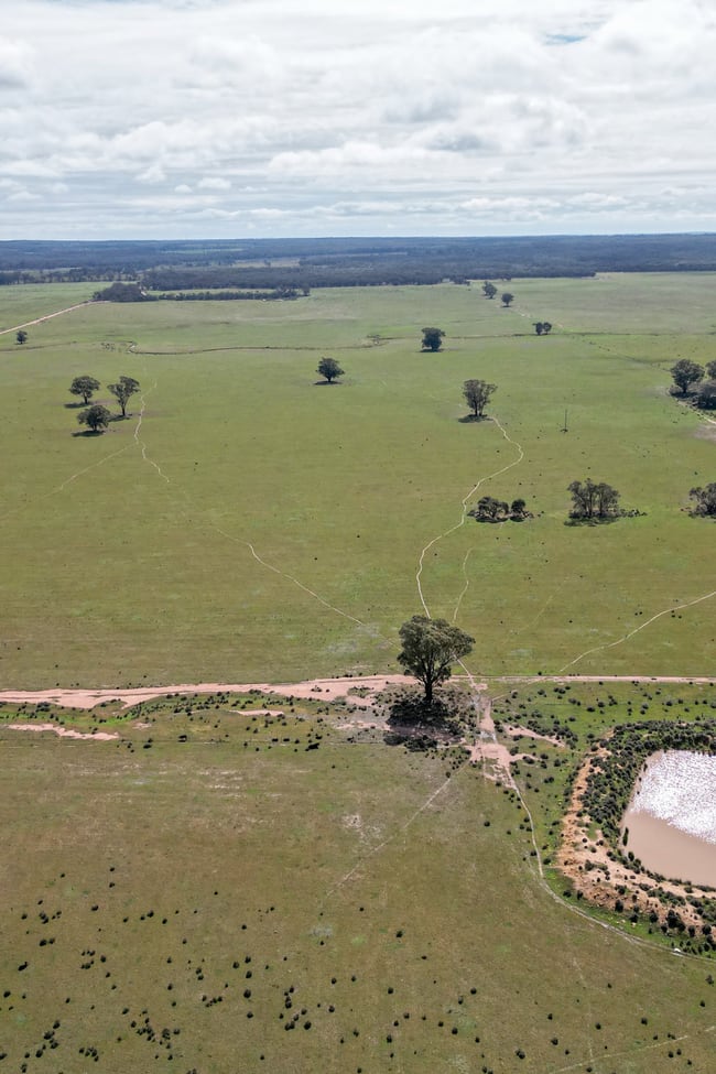 ' Dalmallee' 735 Charcoal Tank Road West Wyalong NSW 2671
