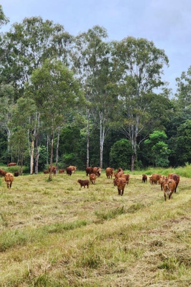 Lot 3 Kanigan Road Kanigan QLD 4570