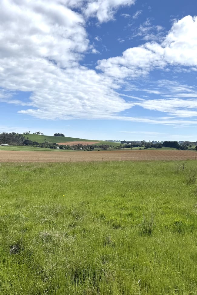 111 Teasdale Road Neville NSW 2799