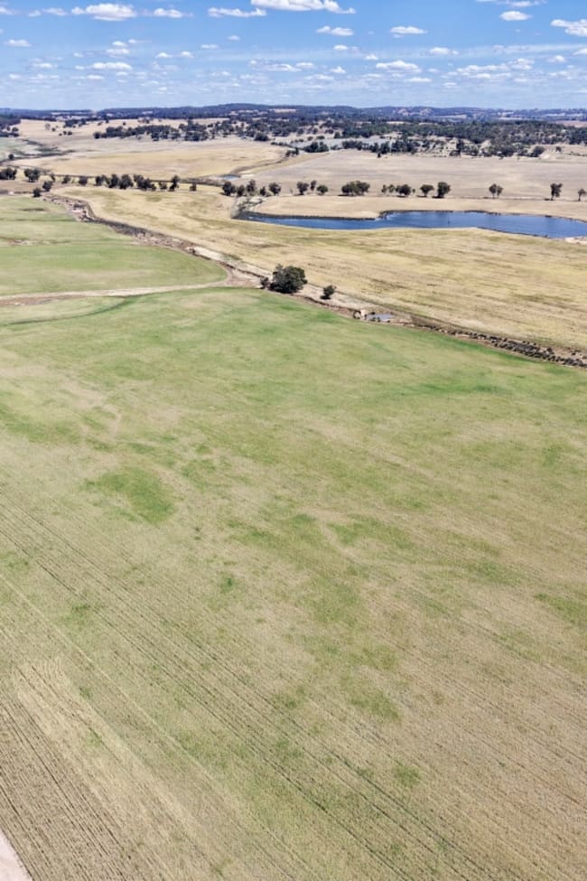 Butchers Road Dale WA 6304
