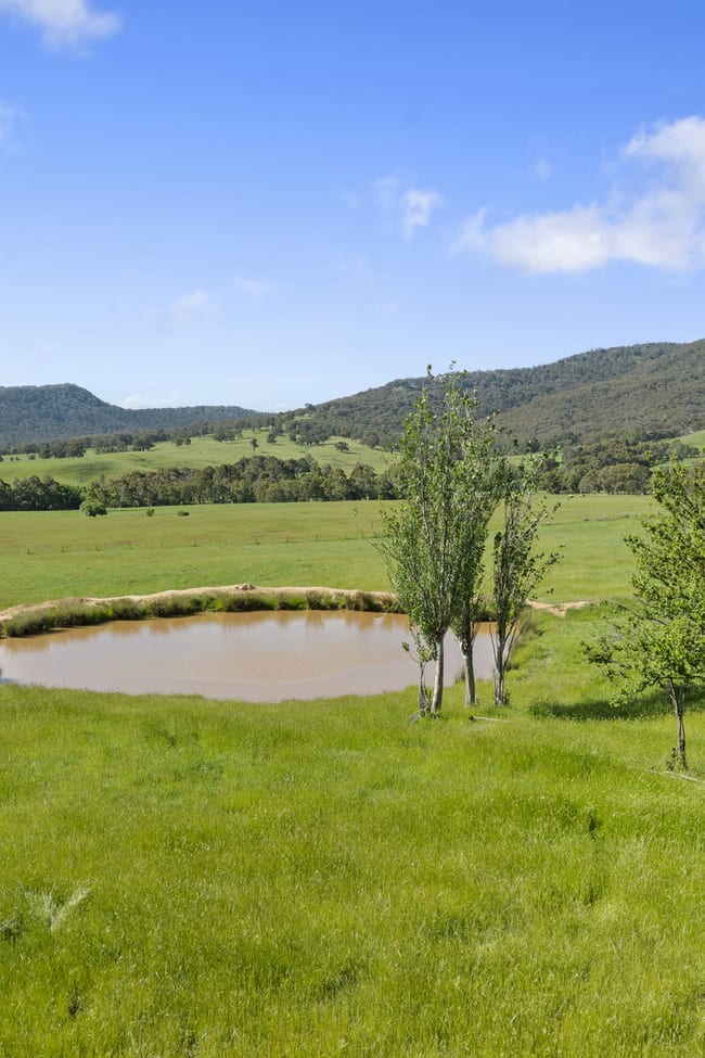 1477 Mansfield-Whitfield Road Bridge Creek VIC 3723