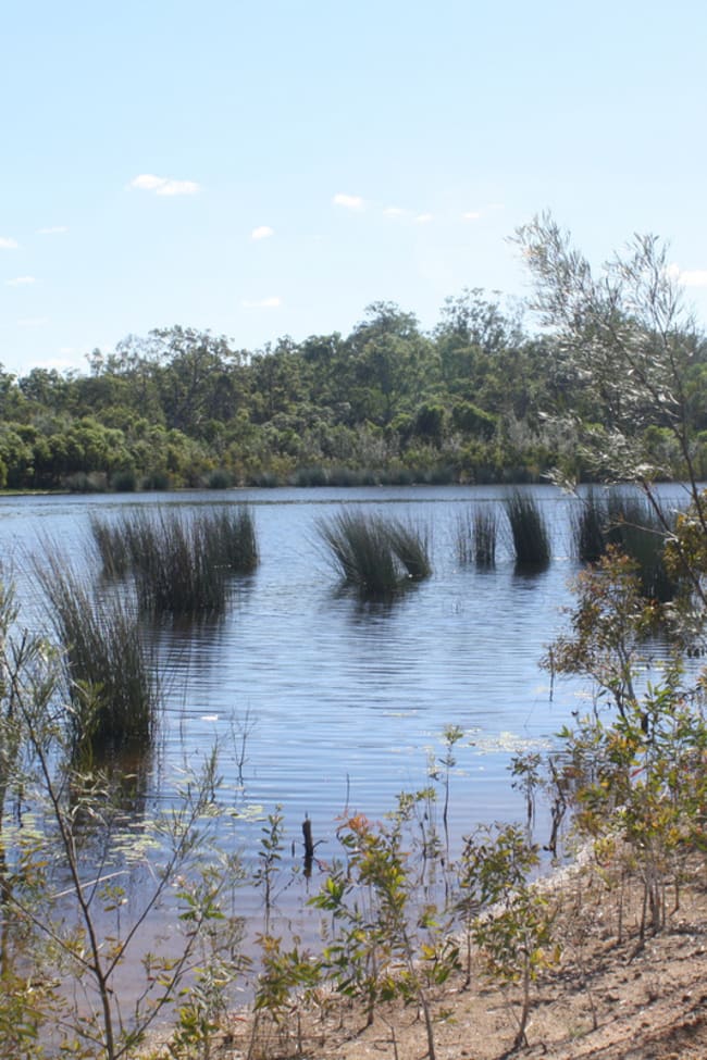 13/ Barnards Road Moorland QLD 4670