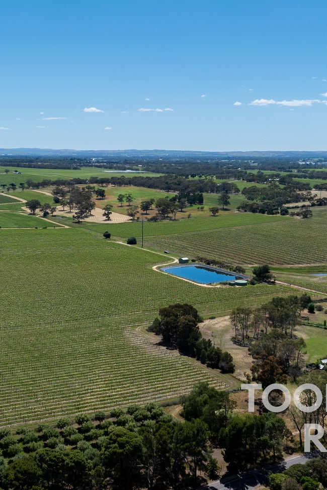 303 Stonewell Road Stone Well SA 5352