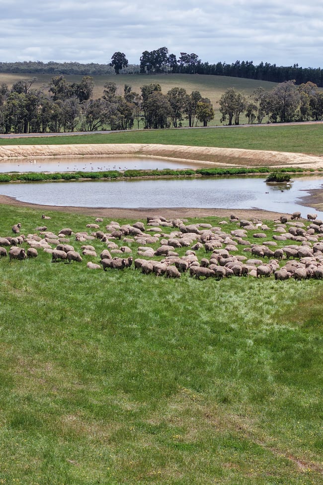 203 Simcock Road Chowerup WA 6244