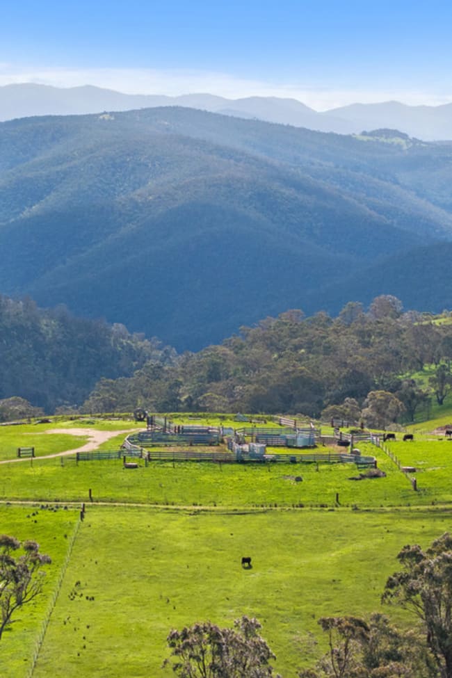 2/914 Target Creek Road Licola VIC 3858