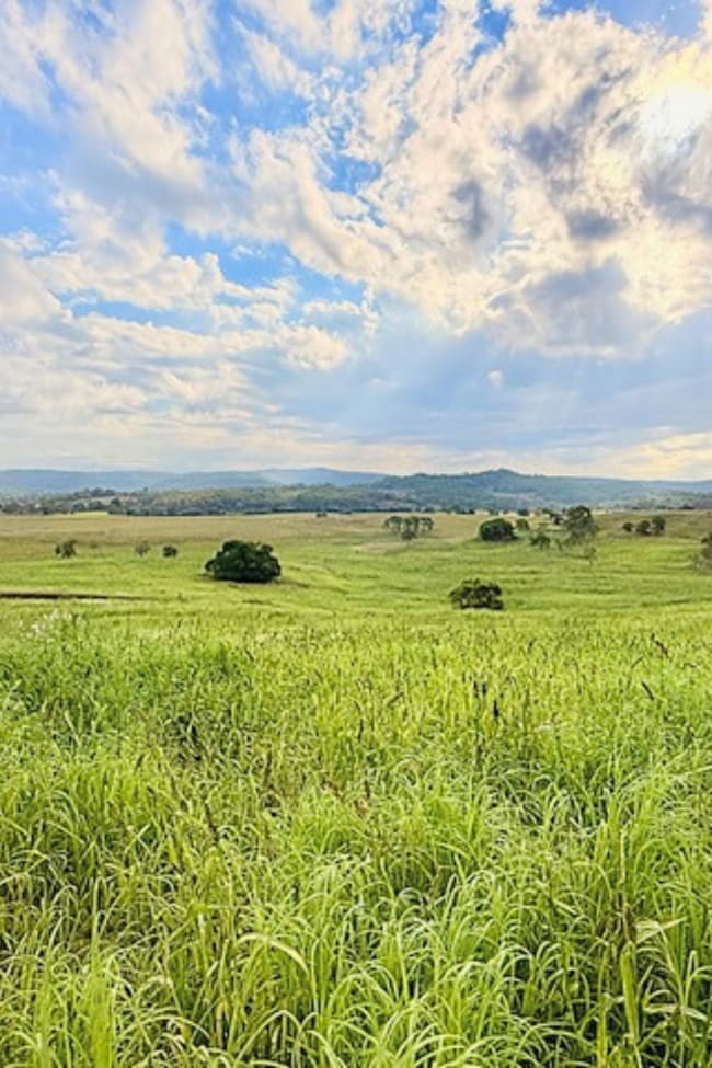 4411 Bruxner Highway Piora NSW 2470