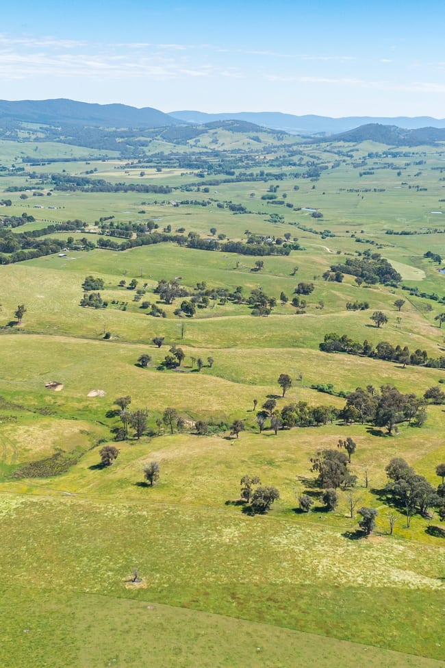 417 Black Flats Road Mudgegonga VIC 3737