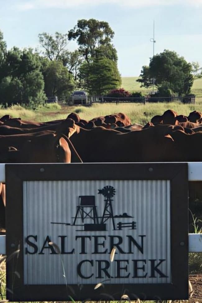 1970 Saltern Creek Road Barcaldine QLD 4725
