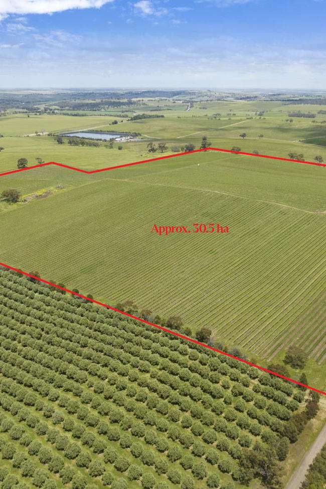 Lot 54 Tank Road Auburn SA 5451