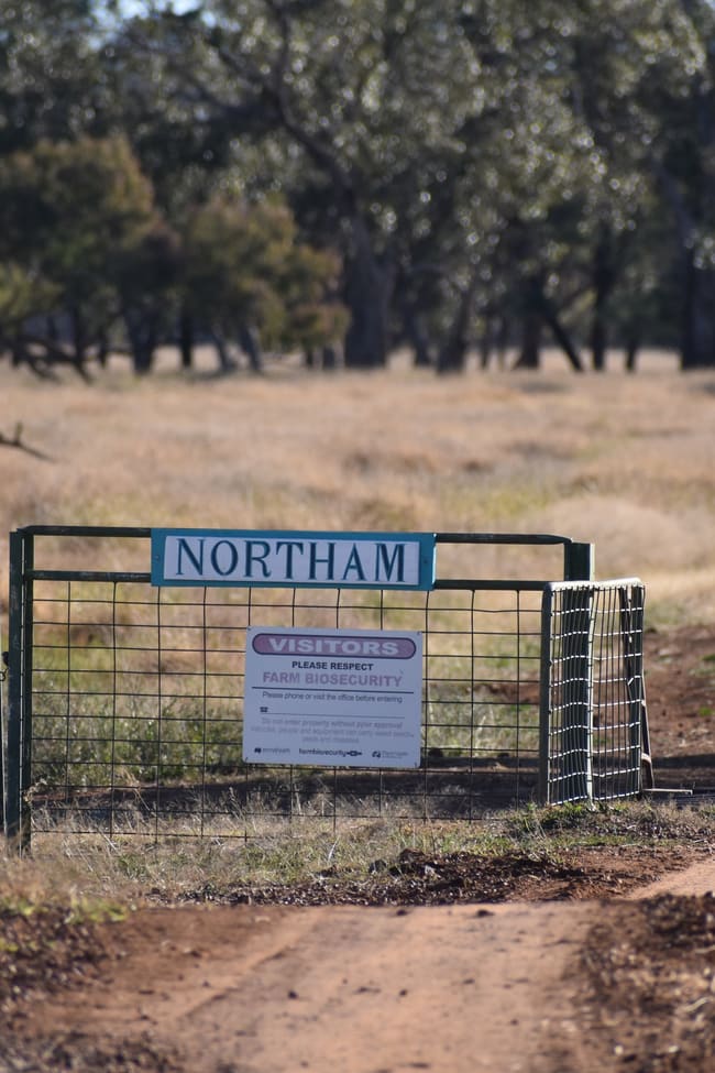 " Northam" Wyandra QLD 4489