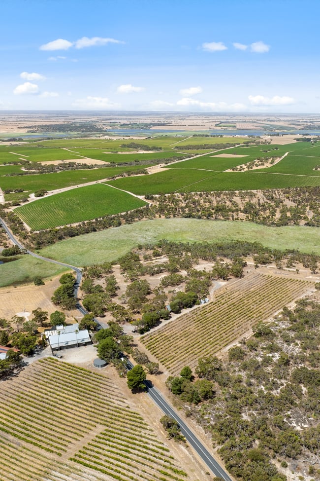 290-291 Winery Road Currency Creek SA 5214