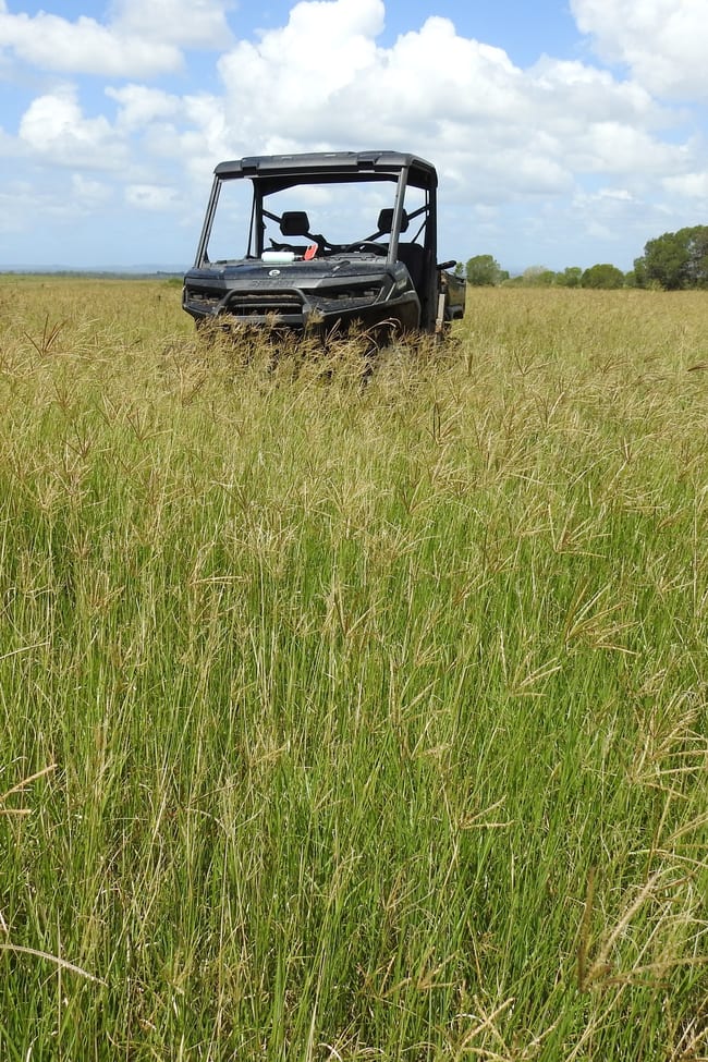 Lot 119 Ellangowan Myrtle Creek Road Ellangowan NSW 2470