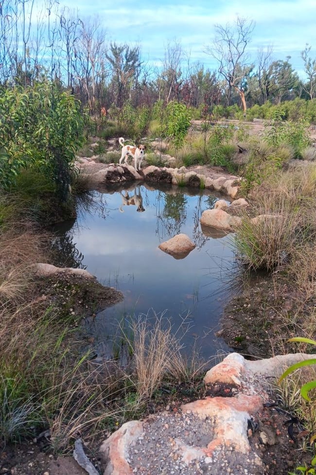 872 South Road Tara QLD 4421