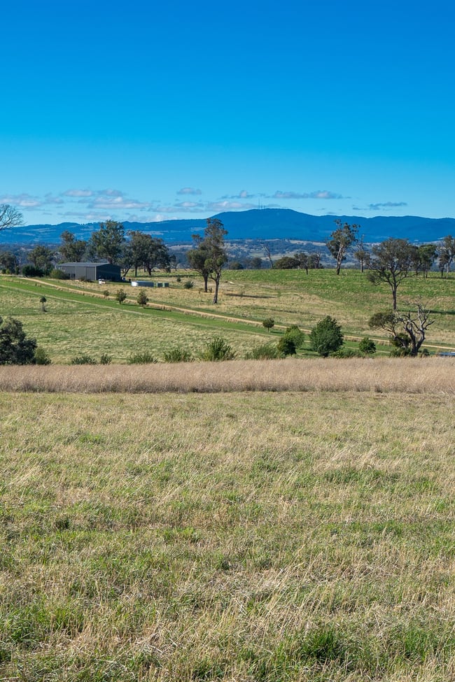 614 Peabody Road Molong NSW 2866
