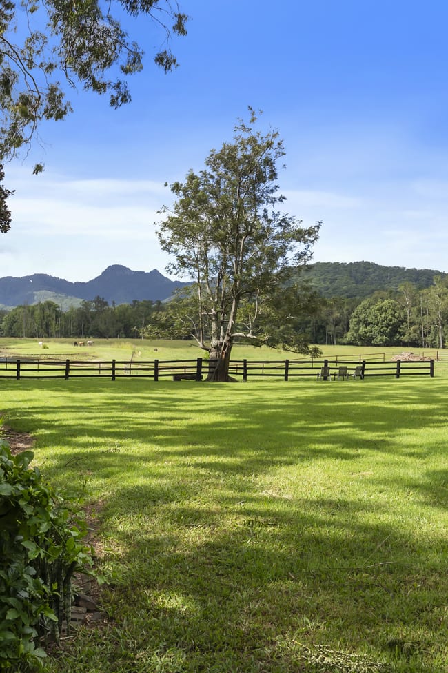 160 Upper Crystal Creek Road Upper Crystal Creek NSW 2484