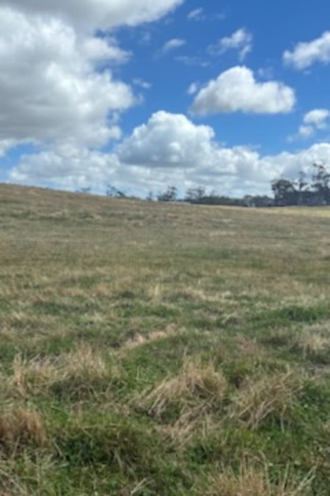 PID 6250932 Montagu Road Scopus TAS 7330