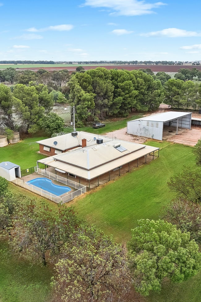 456 Boundary Road Leeton NSW 2705