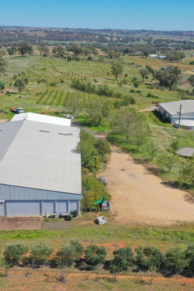 285 Henry Lawson Way Young NSW 2594