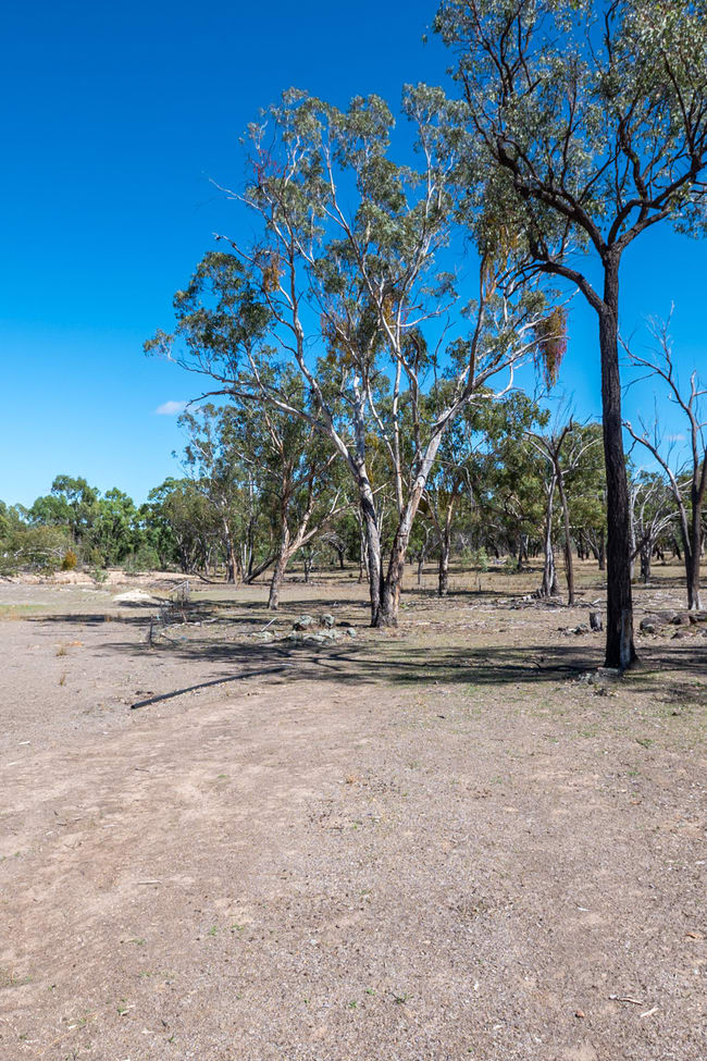 1043 Wallangra Road Wallangra NSW 2360