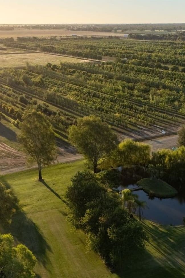 124 Farley Road Echuca VIC 3564