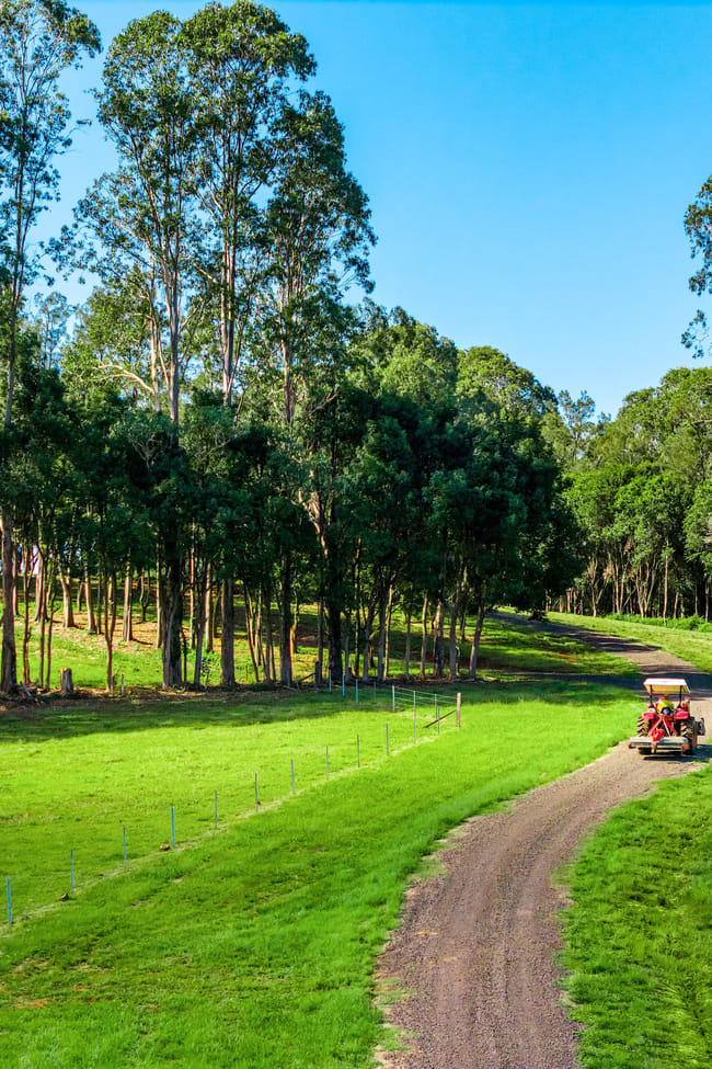 730 Lismore Road Nashua NSW 2479
