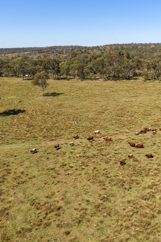 55, . TIM SHEA CREEK ROAD Wengenville QLD 4615