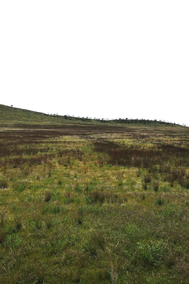 Lot 98 Crocker Hill Road Pekina SA 5431