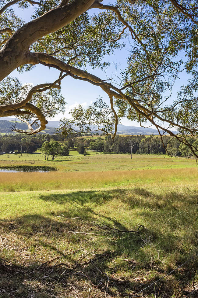 201 Coolangatta Road Far Meadow NSW 2535