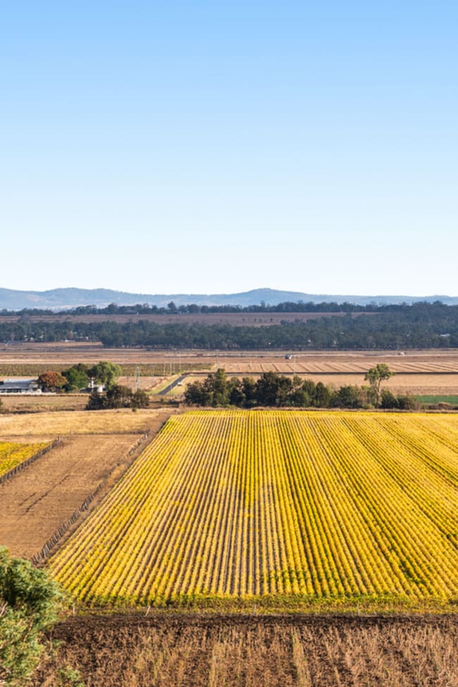 Hillside Road Allora QLD 4362