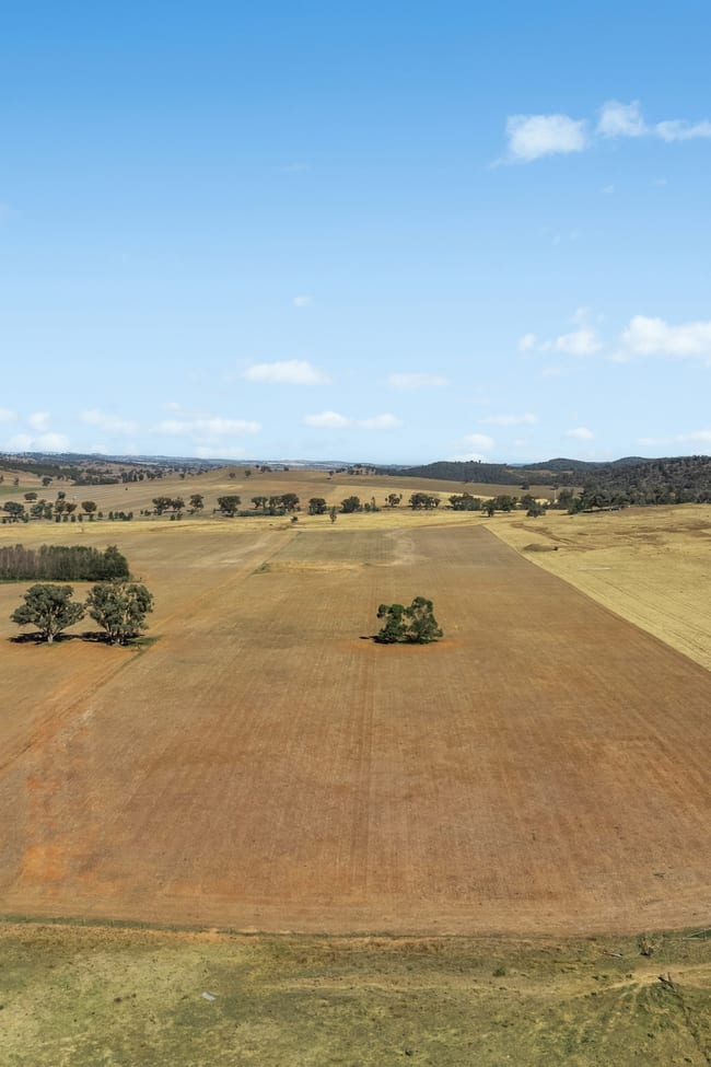 Coates Creek Road Manildra NSW 2865