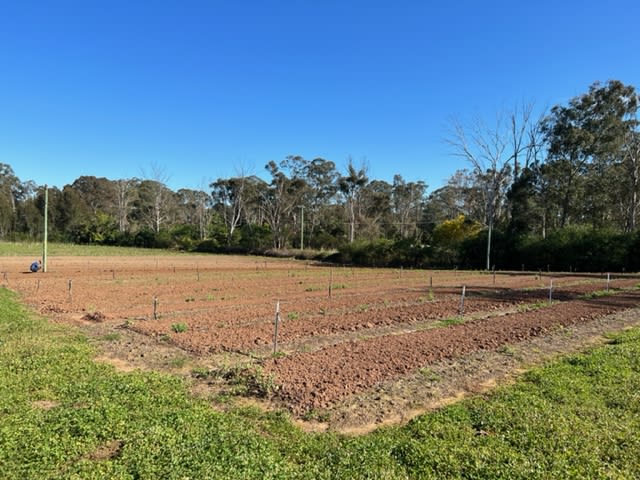 24 Burfitt Road Schofields NSW 2762 24 Burfitt Road Schofields NSW 2762