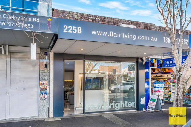 225B Canley Vale Road Canley Heights NSW 2166