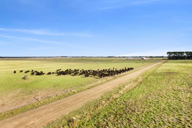 Ecklin South VIC 3265 Ecklin South VIC 3265