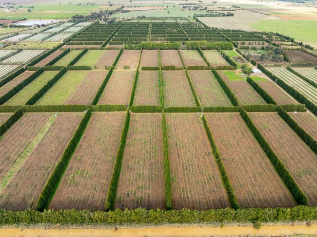 Bunbartha VIC 3634 Bunbartha VIC 3634