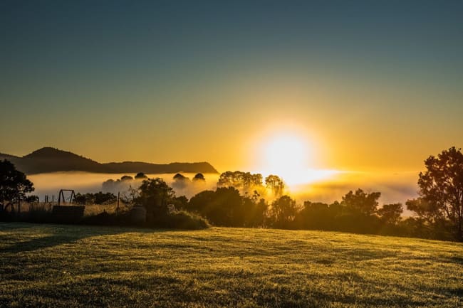 Dorrigo NSW 2453 Dorrigo NSW 2453