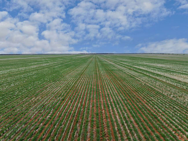 2423 Petro Mail Road Arumpo NSW 2715
