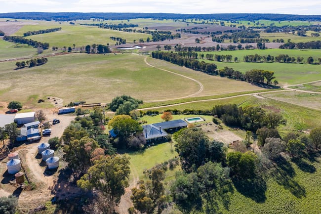 1722 Moppity Road Young NSW 2594 1722 Moppity Road Young NSW 2594