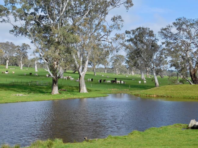 144 Humphries Rd Sandford VIC 3312 144 Humphries Rd Sandford VIC 3312