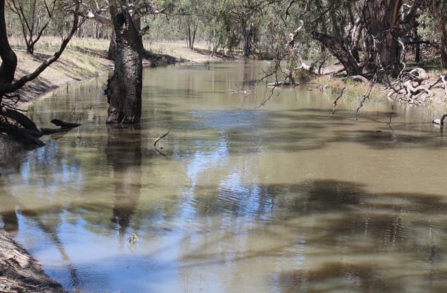 183 O'mahoneys Road Morundah NSW 2700 183 O'mahoneys Road Morundah NSW 2700