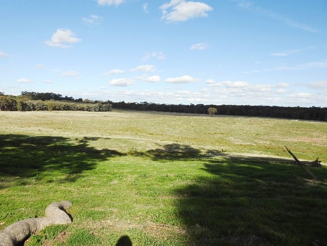 CA 61, Sec A Paynters Road Violet Town VIC 3669 CA 61, Sec A Paynters Road Violet Town VIC 3669