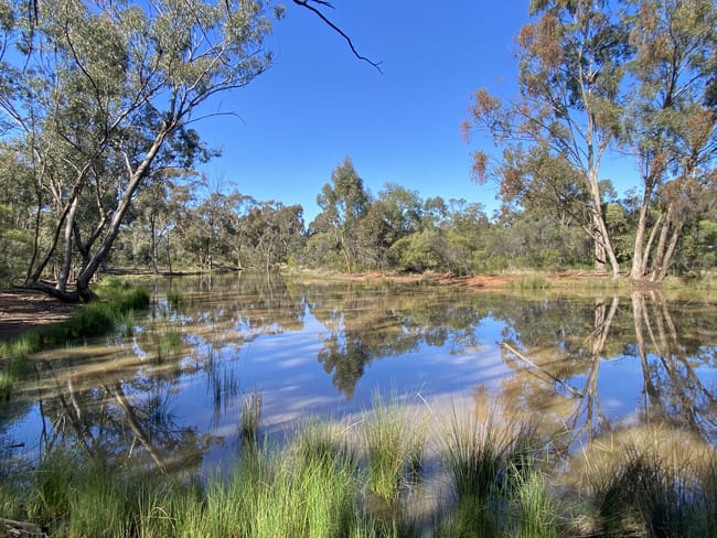 Lot 15 DP752086 Carlisle Road Fifield NSW 2875 Lot 15 DP752086 Carlisle Road Fifield NSW 2875