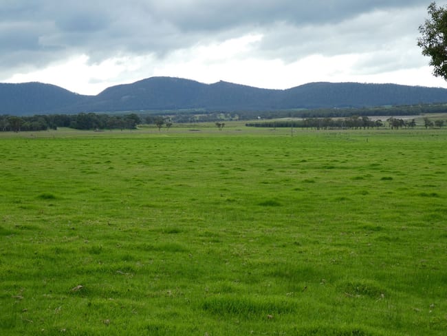363 Morande Road Narrikup WA 6326 363 Morande Road Narrikup WA 6326