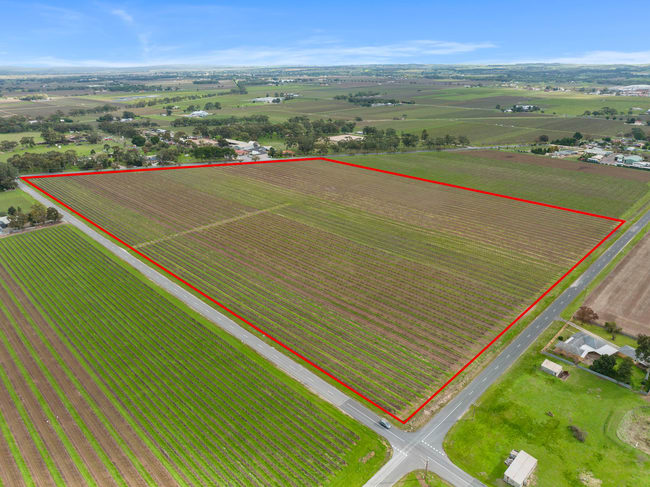 Lot 351 Angaston Road Nuriootpa SA 5355 Lot 351 Angaston Road Nuriootpa SA 5355