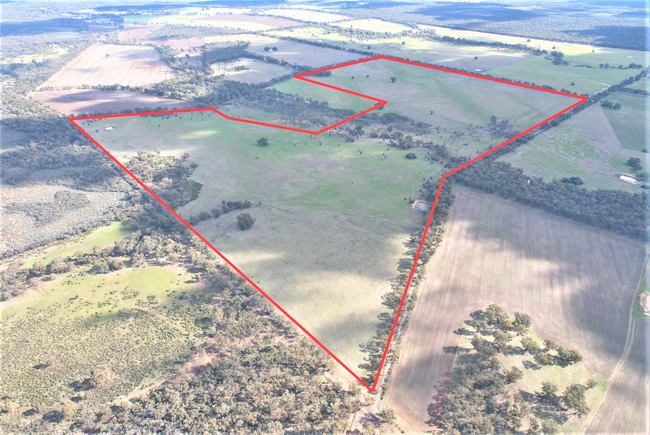 - Kurting Kingower Road Kurting VIC 3517 - Kurting Kingower Road Kurting VIC 3517
