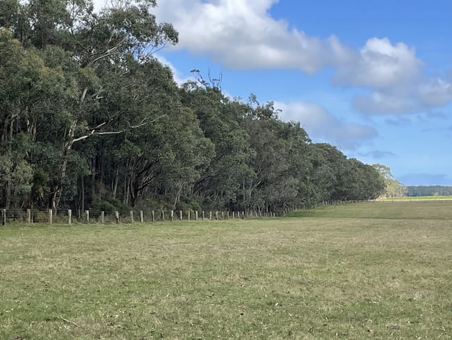 Lot 1 Cobden-Warrnambool Road Naringal East VIC 3277 Lot 1 Cobden-Warrnambool Road Naringal East VIC 3277