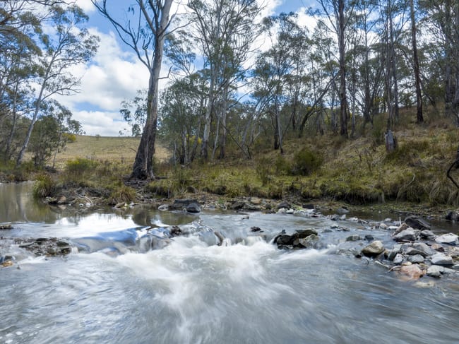 369 Sheepstation Forest Road Gingkin NSW 2787 369 Sheepstation Forest Road Gingkin NSW 2787